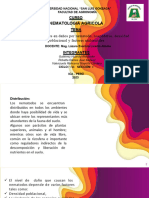 EXPO - NEMATOLOGIA - Densidad