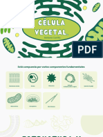 Presentación Biología Célula Ilustrativa Verde - 20231129 - 014054 - 0000