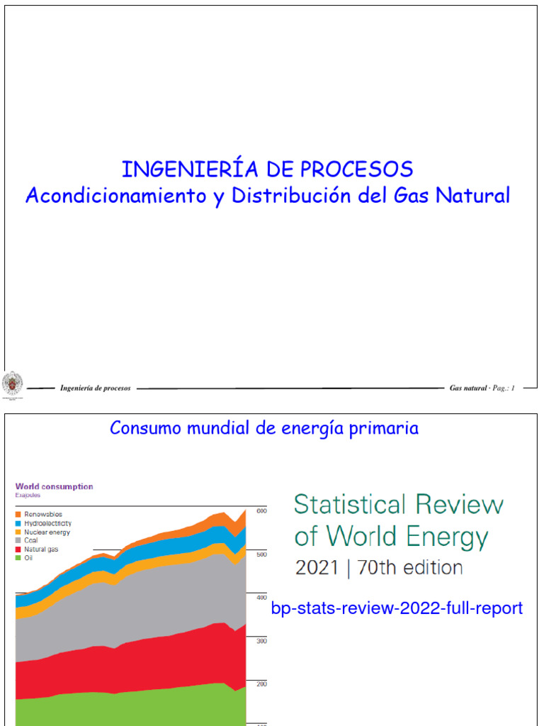 Composición del Gas Natural | PDF | Gas natural licuado | Gas natural