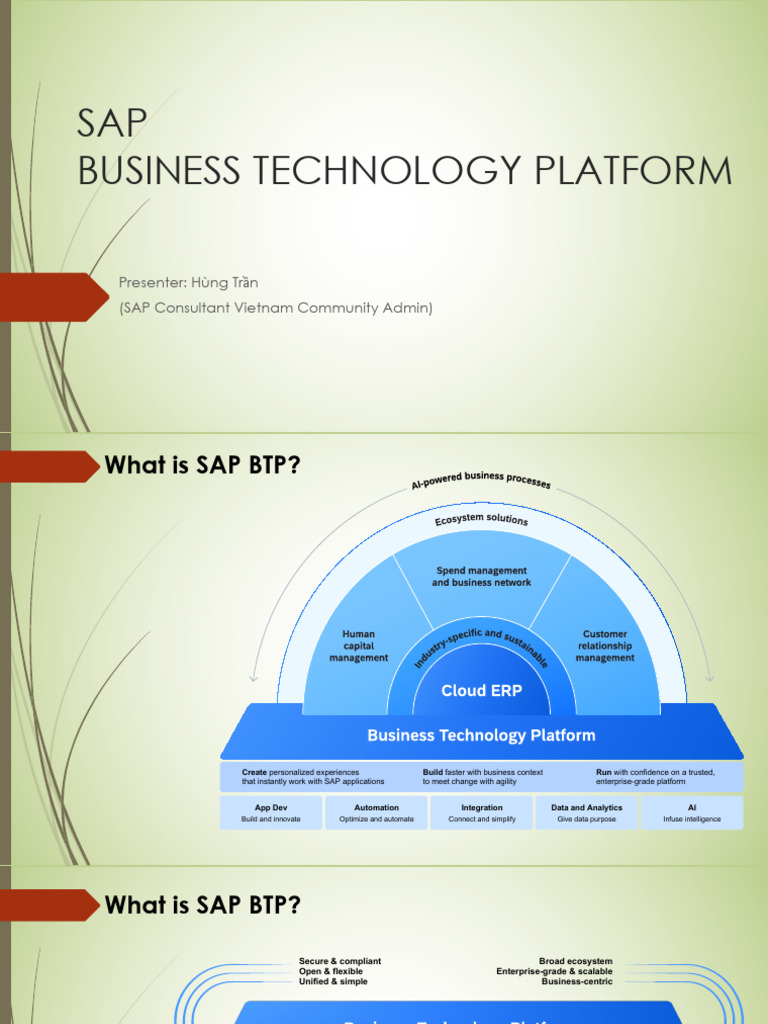 Overview of SAP Business Technology Platform | PDF