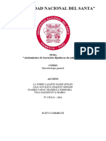 Practica N°09 - Rhizobium