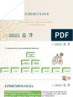Tuberculos S: Rosa Del Alba Cardoza Galmiche R1 Epidemiología