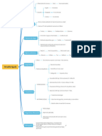 Sinusitis Aguda Mapa Conceptual