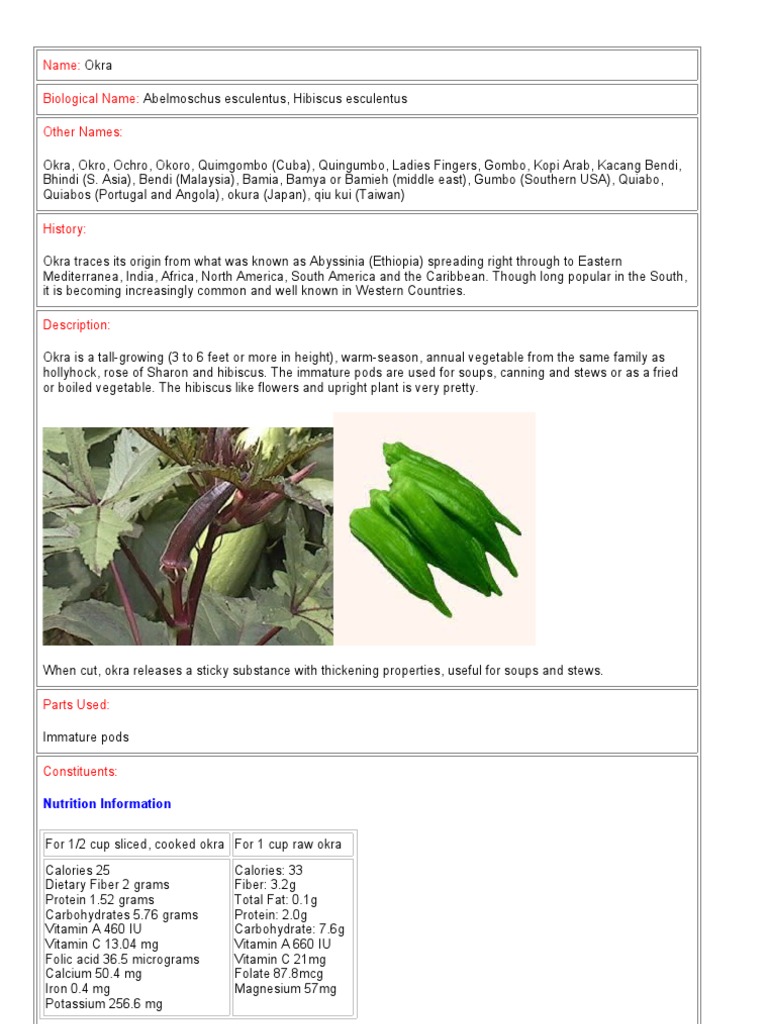 Okra Medicinal Values Dietary Fiber Nutrition