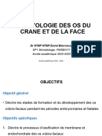 Embryologie Des Os Du Crane Et de La Face
