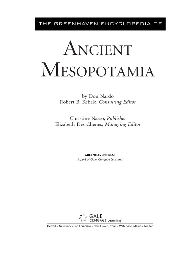 ANCIENT HISTORY IN DEPTH MESOPOTAMIA PROJECT PDF visual data 8