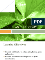 Plant Classification1 PPT1