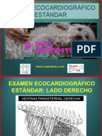 Examen Ecocardiográfico Estándar