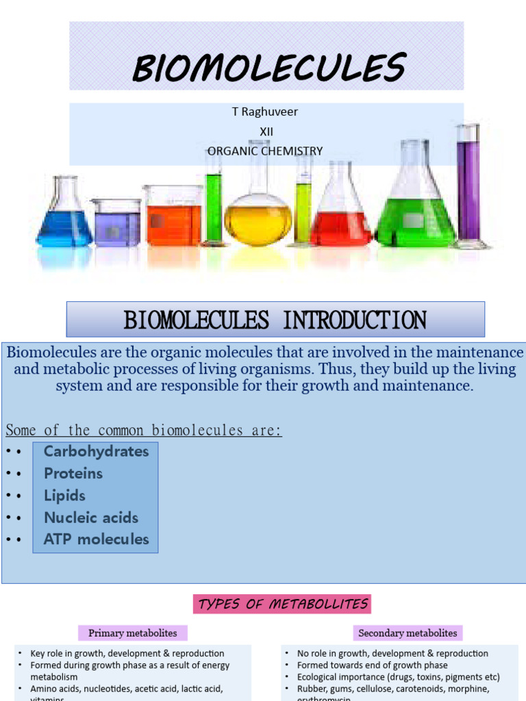 Biomolecules PDF Carbohydrates Glucose