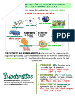 Tema 1 (Mis Apuntes)