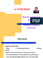 Head Lect 2 Face