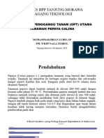 Opt Utama Pepaya Print