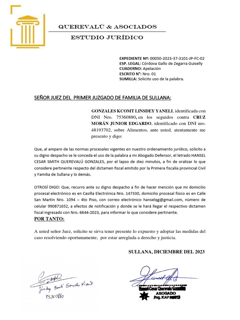 Solicita Uso de La Palabra | PDF