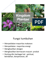 Kingdom Plantae