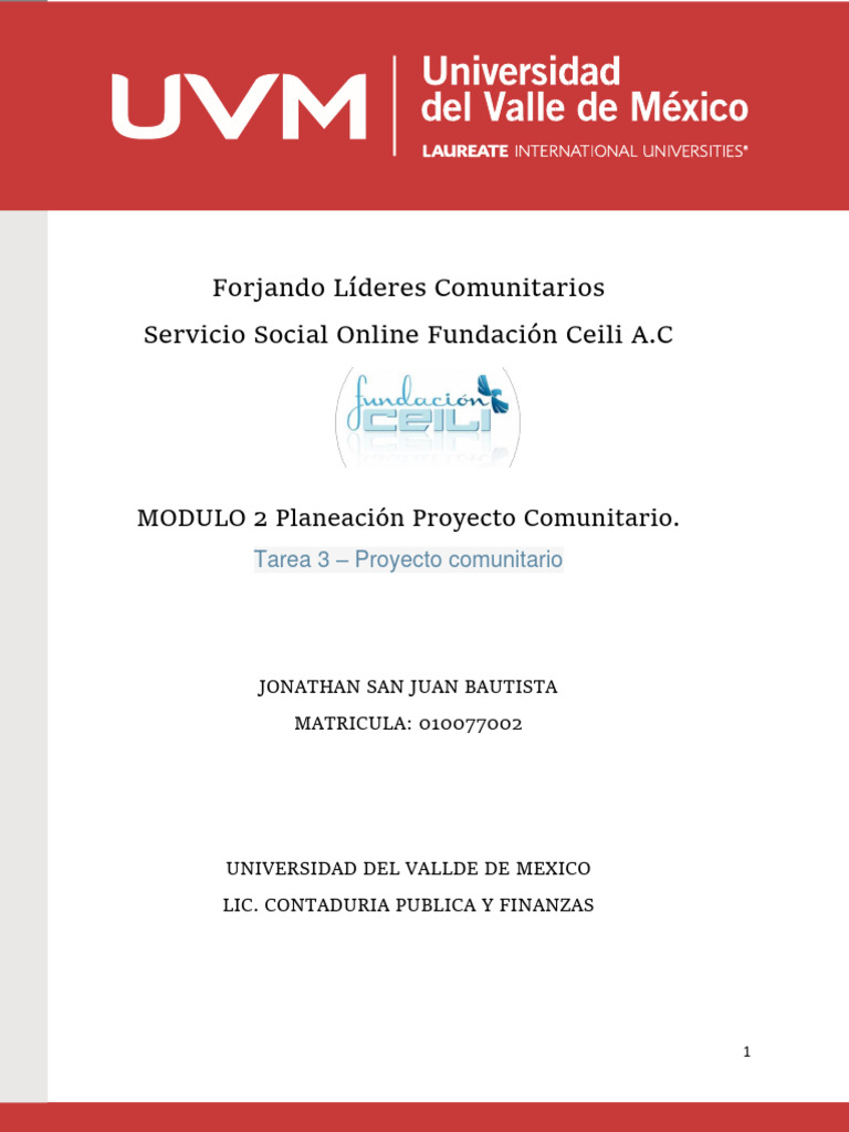Planificación de Proyectos Comunitarios | PDF | Ciencias sociales