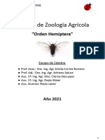Hemiptera Auchenorrhyncha y Sternorrhyncha2021