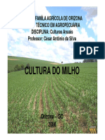 Cultura Do Milho