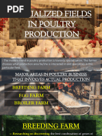 2.1 Specialized Field in Poultry Production