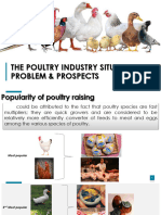 2.0 The Poultry Industry Situation Problems and Prospects