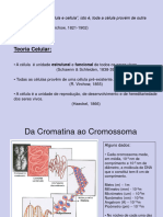 1 - Ciclo Celular, Mitose e Controlo Celular