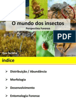O Mundo Dos Insectos