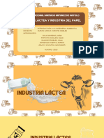 Trabajo de Impacto Ambiental - Industria Láctea y Industria Del Papel