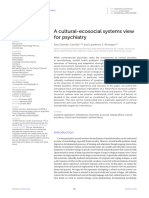 2023, A Cultural-Ecosocial Systems View For Psychiatry, Frontiers in Psychiatry