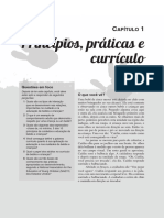 Princípios, Práticas e Currículo: Apítulo