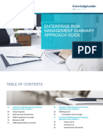 Enterprise Risk Management Summary Approach Guide