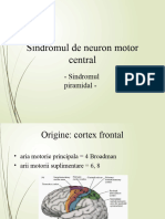 Curs 1 SDR de Neuron Motor Tip Central