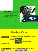 food chains and webs powerpoint