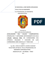 Lido Tesis Bachiller 2021 PDF