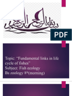 Fundamental Links in Life Cycle of Fishes