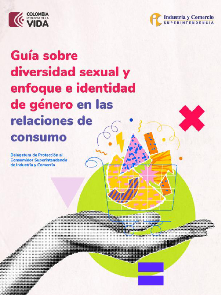 Guía Diversidad Sexual y Enfoque e Identidad de Género VF | PDF ...