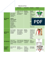 Músculos de Tórax, No Autóctona y Autóctona