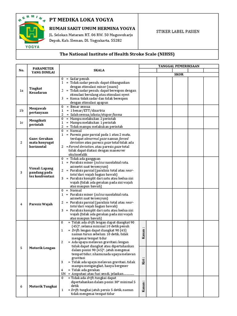 Form NIHSS Code Stroke PDF