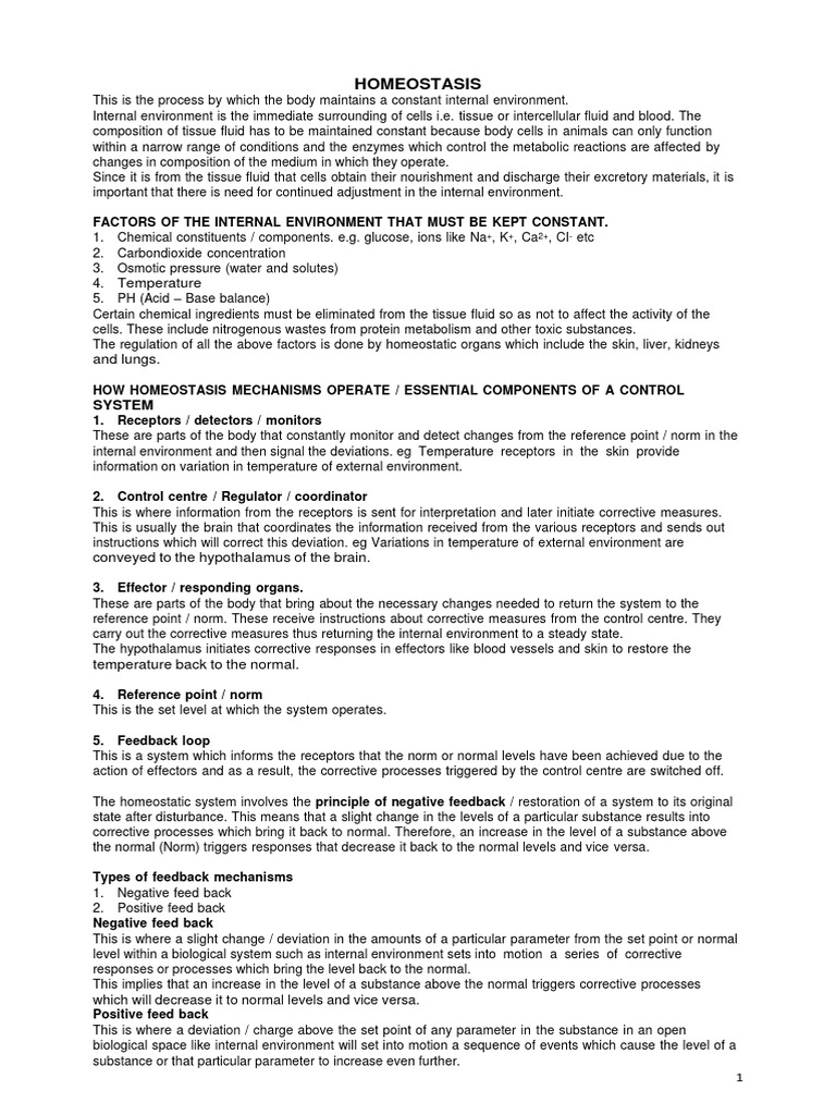 Homeostasis And Excretion Pdf Liver Thermoregulation