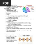 Cell Cycle - Mitosis and Meiosis