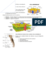 Cell Membrane and Cell Transport