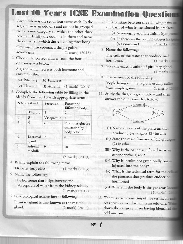Work Sheet 9 Endocrine System PDF