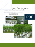 Rancangan Perniagaan Pertanian Lada Hitam