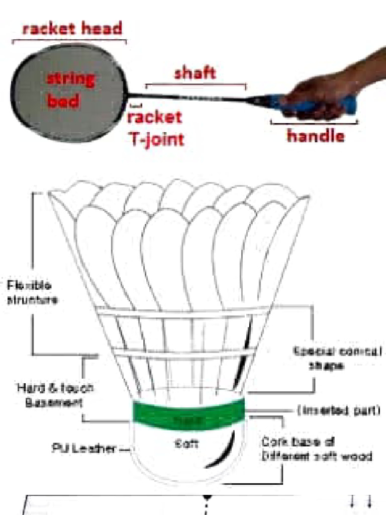 Physical education badminton project images pdf