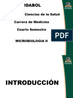 1-Introduccion A Los Virus - UDABOL