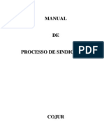 Manual Do Processo de Sindicancia[1]