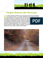 PN Moncayo