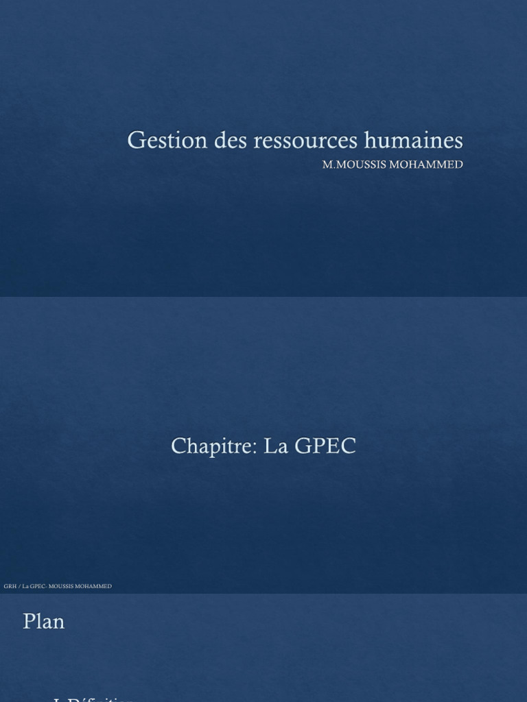 Comprendre la GPEC en RH | PDF