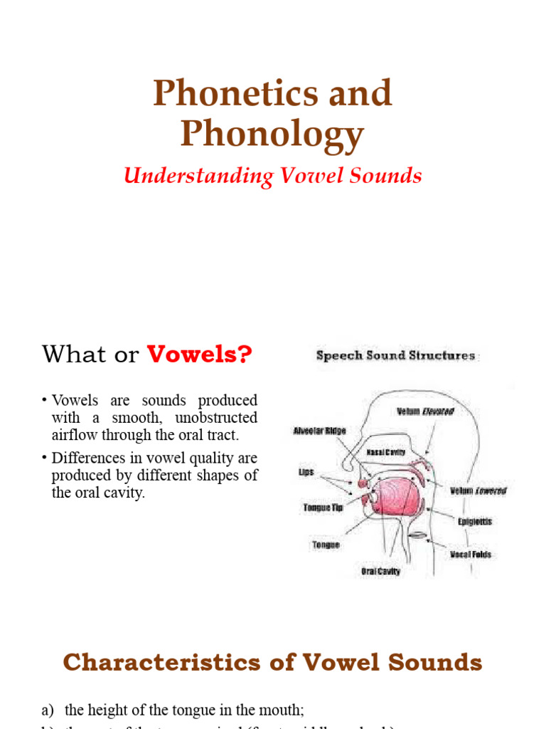 Understanding Vowel Sounds in Phonetics | PDF | Vowel | Phonetics