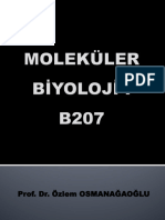 Moleküler Biyoloji 2021-2022 Güz (Ders 6) Genetik Rekombinasyon