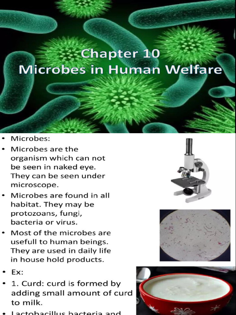 Microbes in Household Products PDF