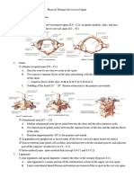 09 Cervical Spine 1